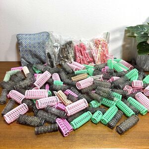 Vintage Hair Rollers Curlers Brush Mesh Wire Lot of 145 with Extra Pins Clips